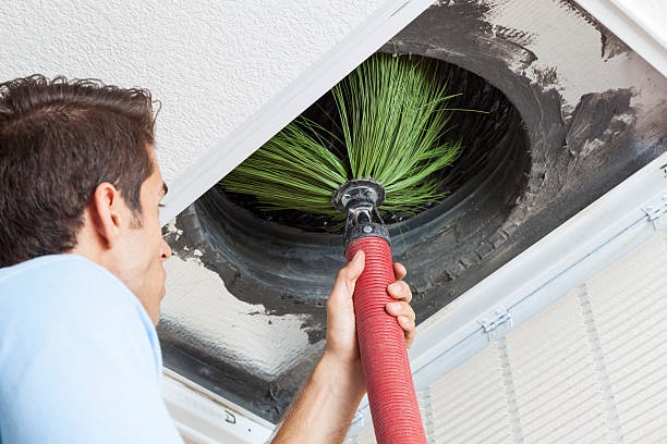 Best Air Duct Inspection  in Odessa, FL